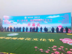 第八届中国·鄢陵蜡梅梅花文化节1月12日盛装启幕