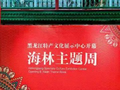 黑龙江特产文化展示中心开幕 讲述北纬45°的故事