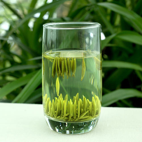 东山云雾茶