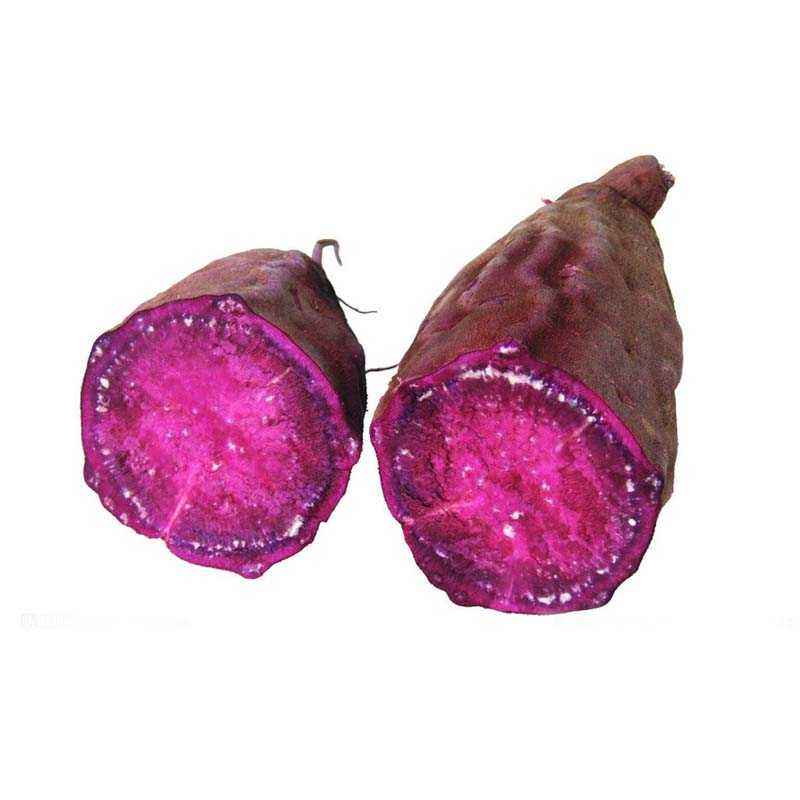 永福紫花红薯