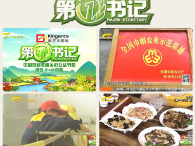 广西特产黑豆黄豆腐竹 农家豆皮干货批发 250g袋装腐竹图2