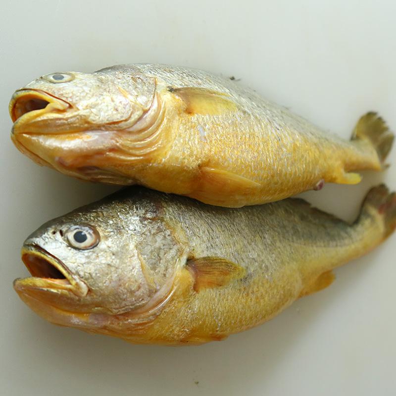 钦州黄鱼