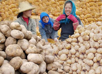 甘肃省定西市安定区——中国马铃薯之乡