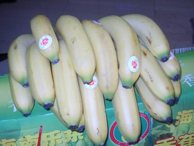 海南省乐东县——中国香蕉之乡