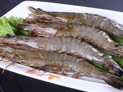 丹江口青虾