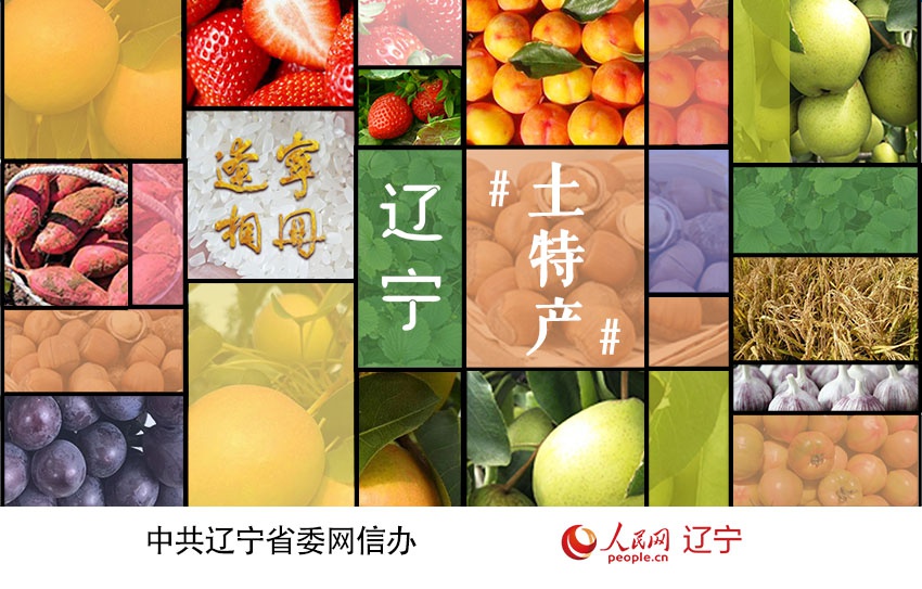 鞍山英不落大樱桃:味美香甜的“红玛瑙”