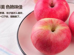 东马屯红富士苹果