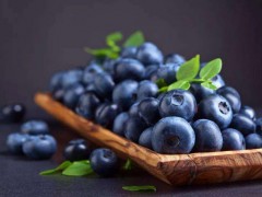 保康高山蓝莓