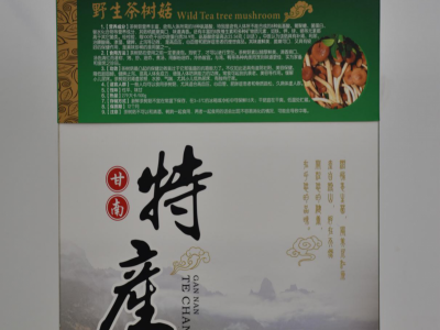 菌类图2
