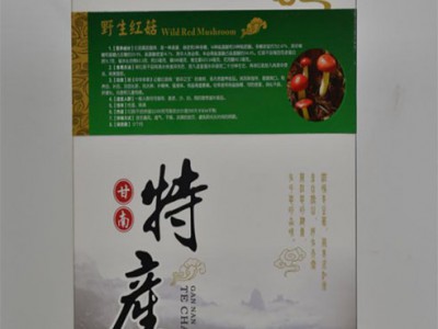 红菇图2