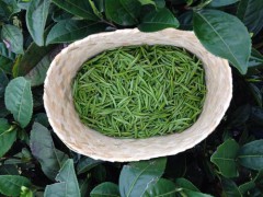 桃源茶叶