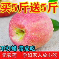 【包邮】10斤苹果陕西苹果新鲜红富士水果脆甜高山苹果整箱批发平果5斤