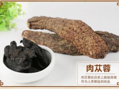 新疆肉苁蓉