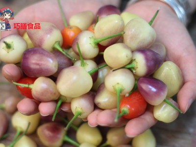 广西特产五彩椒七彩椒泡椒灯笼椒酱油腌辣椒下饭菜咸菜图2