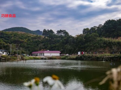 广西特产五彩椒七彩椒泡椒灯笼椒酱油腌辣椒下饭菜咸菜图3