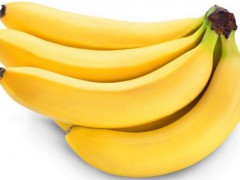 香蕉、大蕉