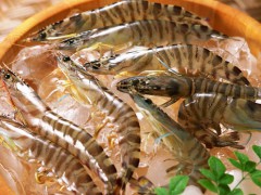 文登海虾