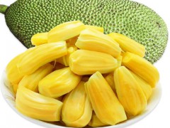 木菠萝