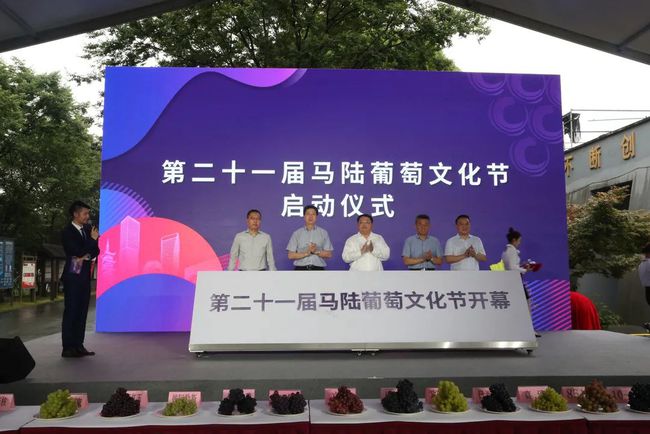 2021年第二十一届上海马陆葡萄文化节