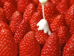 砖埠草莓