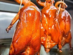 吊烧鸭