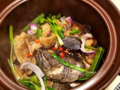 阳东县特产-焖煲大石斑鱼