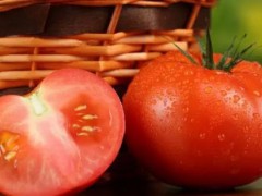 博兴县特产-博兴西红柿