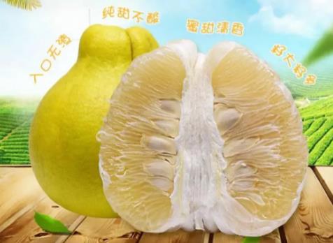 QQ浏览器截图20230309092523