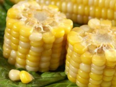 延寿特产-延寿粘玉米