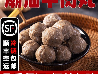【顺丰包邮】正宗潮汕牛肉丸/牛筋丸 汕头特产火锅烧烤食材图2