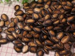 镶黄旗特产-镶黄旗西瓜籽