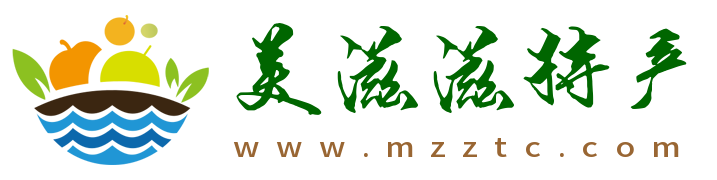 美滋滋特产网