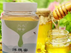 沁水县特产-沁水刺槐蜂蜜