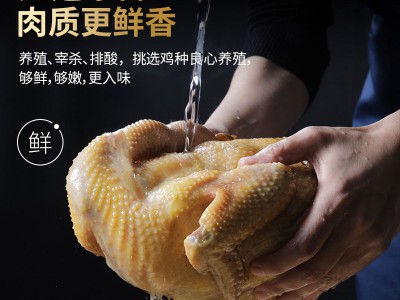 【经典礼盒】德州乡盛五香鸡麻辣鸡礼盒装德州特产扒鸡脱骨送礼图2