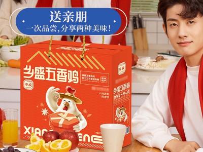 【2只礼盒】乡盛德州特产扒鸡 550g2只烧鸡整只熟食正宗清真鸡肉图2