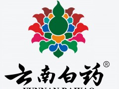 云南十大特产