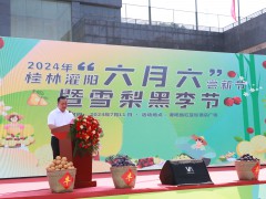 2025灌阳“六月六”尝新节暨雪梨黑李节盛大开幕