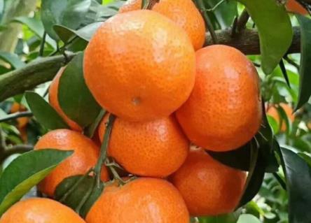 QQ浏览器截图20260319103653