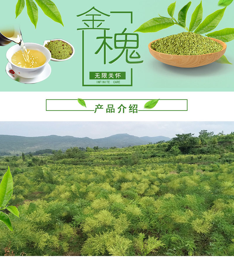 全州金槐茶