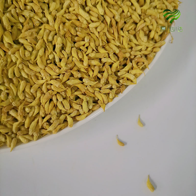  全州金槐茶天然养生茶饮 原心达金槐茶实惠装