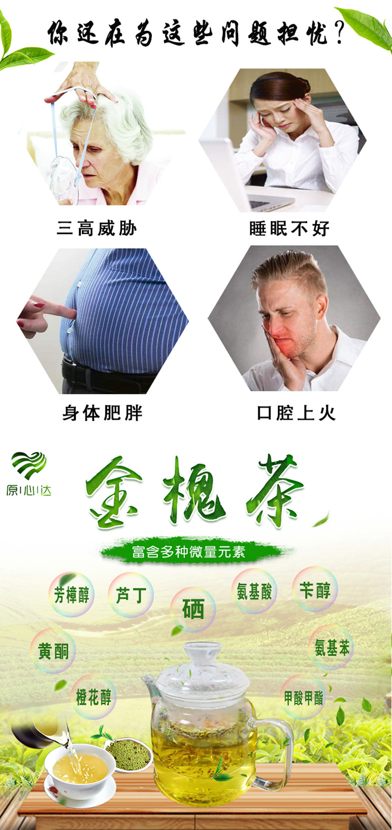 全州金槐茶天然养生茶饮 原心达金槐茶实惠装