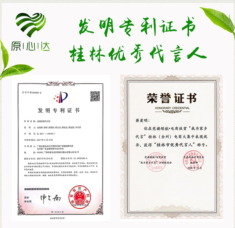 全州金槐茶养生茶礼盒装 原心达金槐茶送礼佳品
