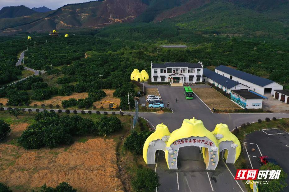 文章配图-1