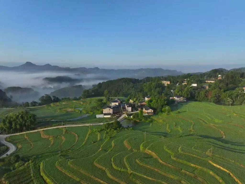 文章配图-1